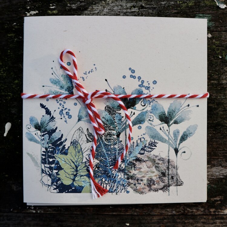 Kim Tillyer Cards