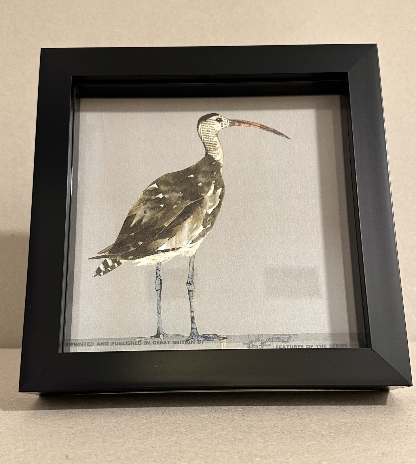 Cards from Windsock Press