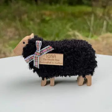 Sheep From the Hairy Coo