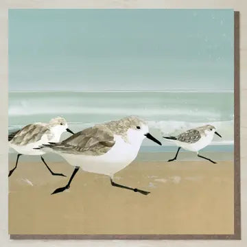 Cards from Windsock Press