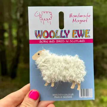 Sheep From the Hairy Coo