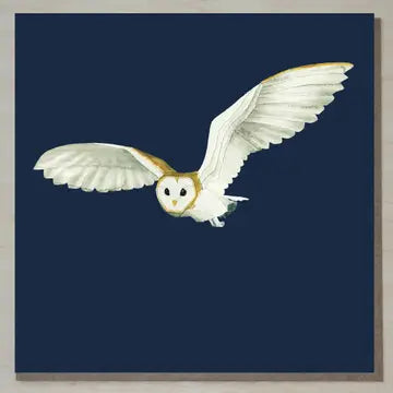 Cards from Windsock Press