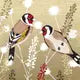 Cards By Helen Briggs