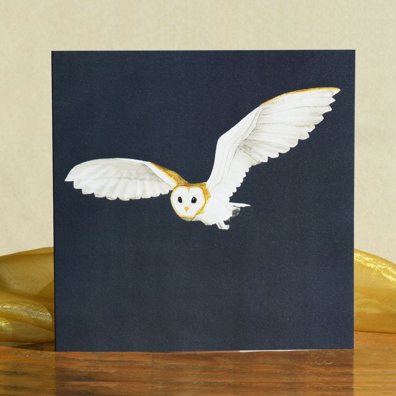 Cards from Windsock Press