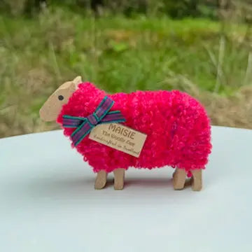 Sheep From the Hairy Coo