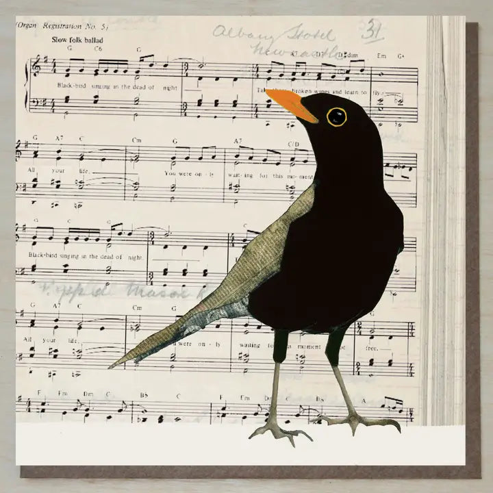 Cards from Windsock Press
