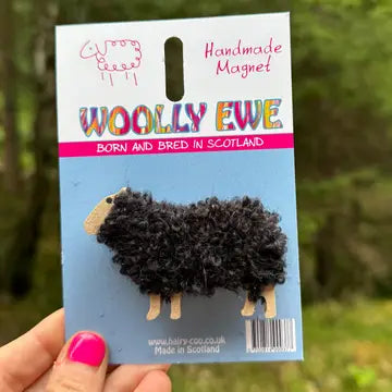 Sheep From the Hairy Coo