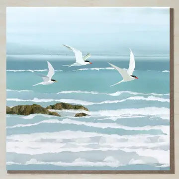 Cards from Windsock Press