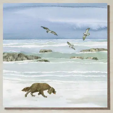 Cards from Windsock Press