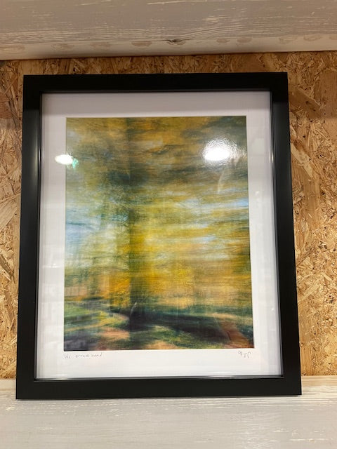 Local Art Photography from George Briggs