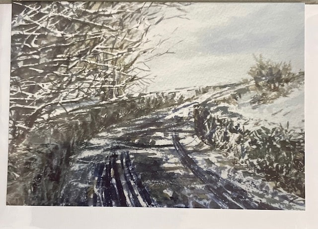 Cards from Local Artist Steve Fairhurst