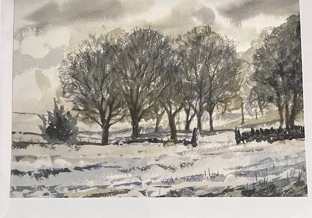 Cards from Local Artist Steve Fairhurst