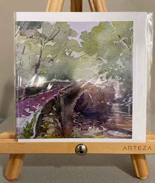 Cards from Local Artist Steve Fairhurst
