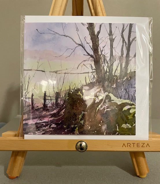 Cards from Local Artist Steve Fairhurst