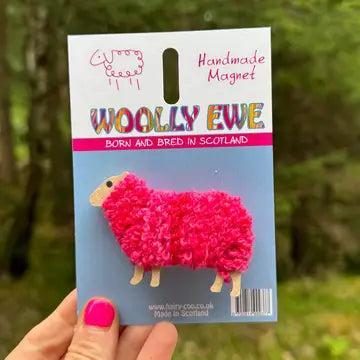 Sheep From the Hairy Coo