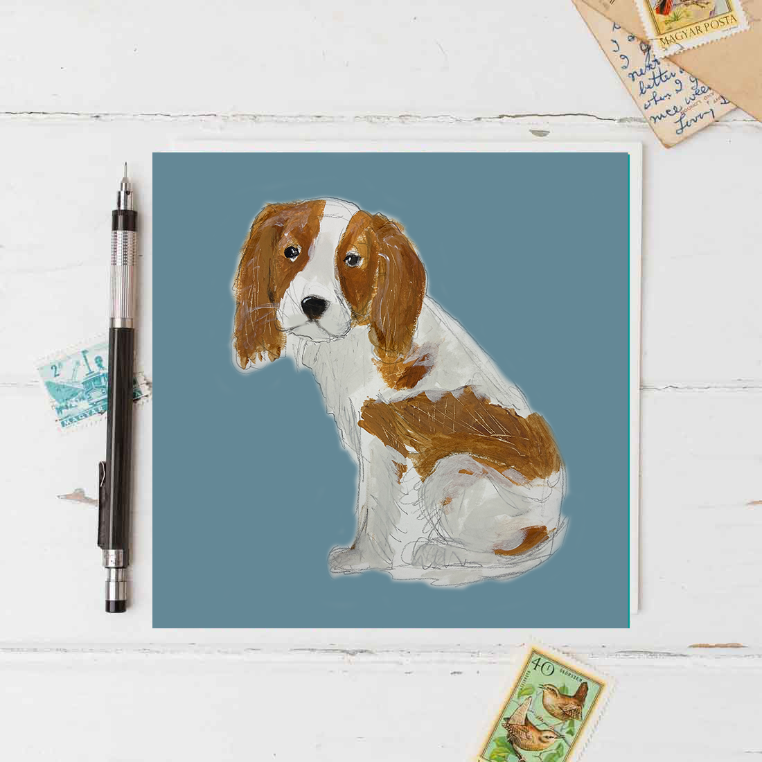 KD01 Katy card