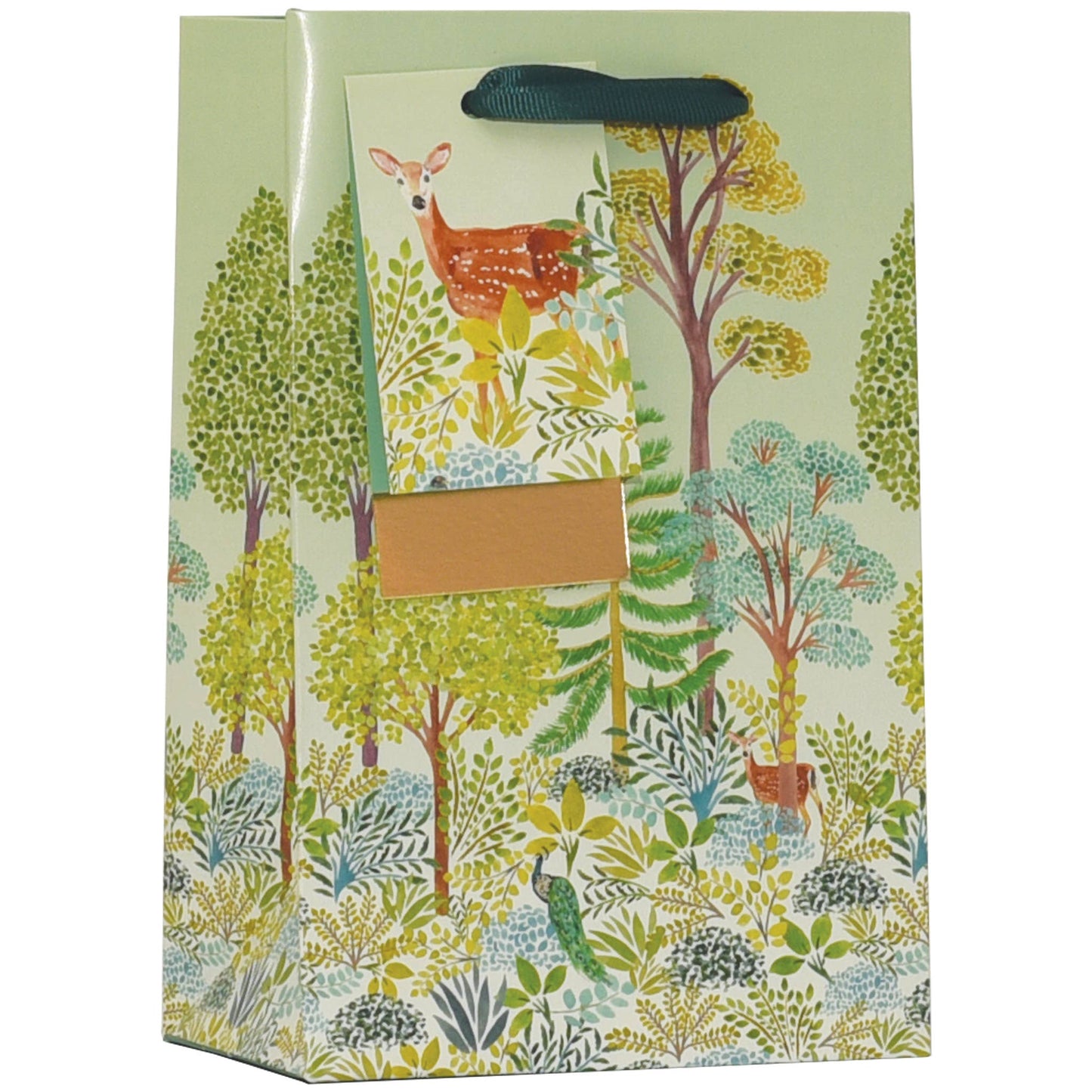 Small Gift Bag Beechwood Park