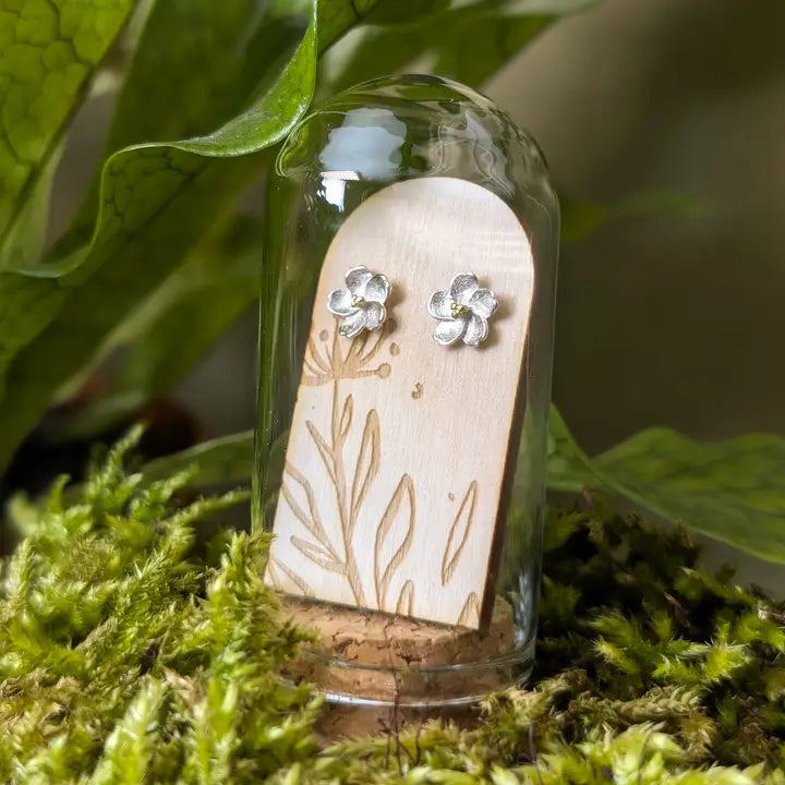 Sterling Silver Jewellery by Banksia Botanicals