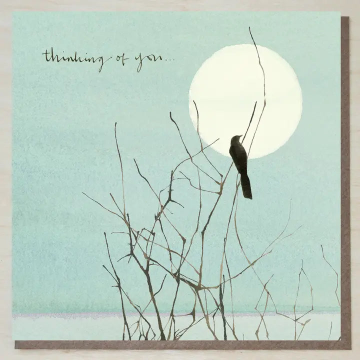 Cards from Windsock Press