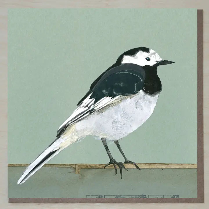 Cards from Windsock Press