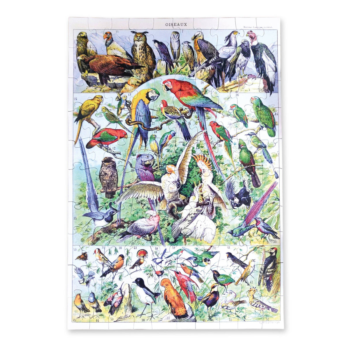 Birds – 100 Piece Puzzle