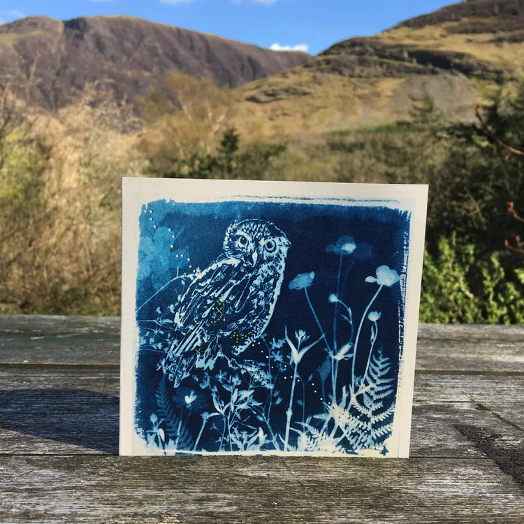 Kim Tillyer Cards
