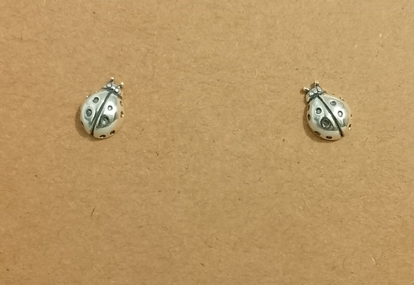 Silver Stud Earrings