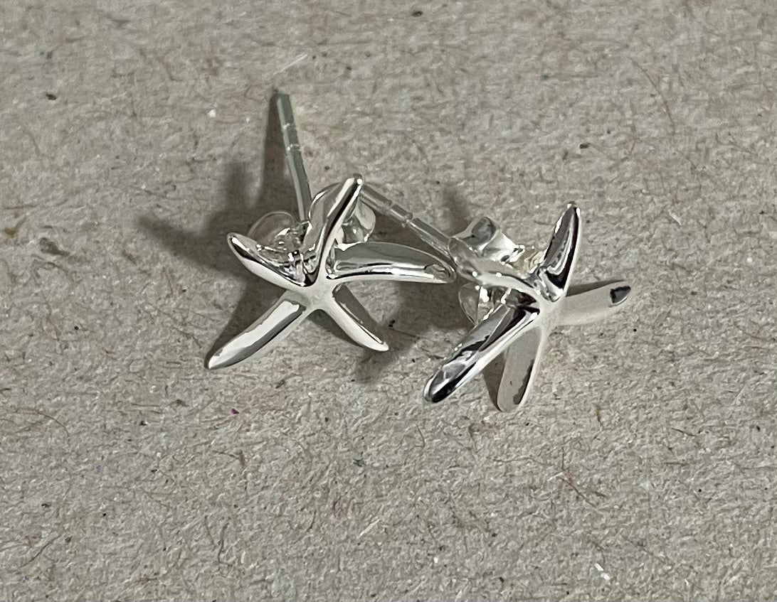 Silver Stud Earrings