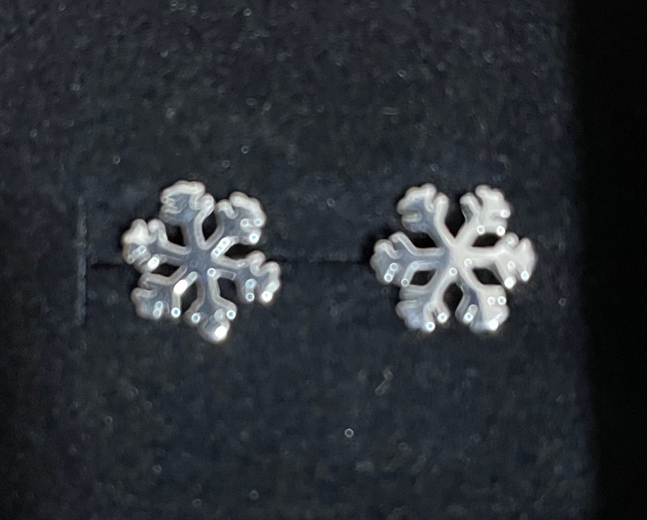 Silver Stud Earrings