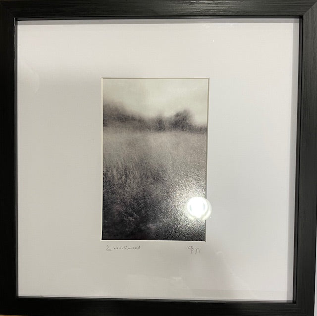 Local Art Photography from George Briggs