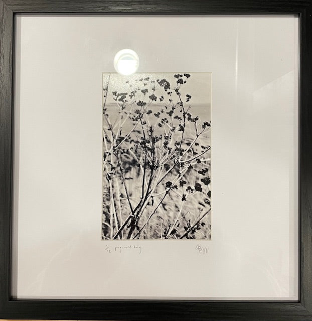 Local Art Photography from George Briggs