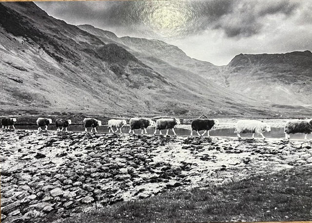 Kendal Calendar & Postcards by Liz Withey