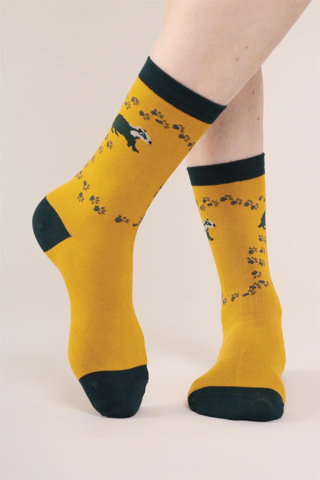 Socks by Nomads Mens