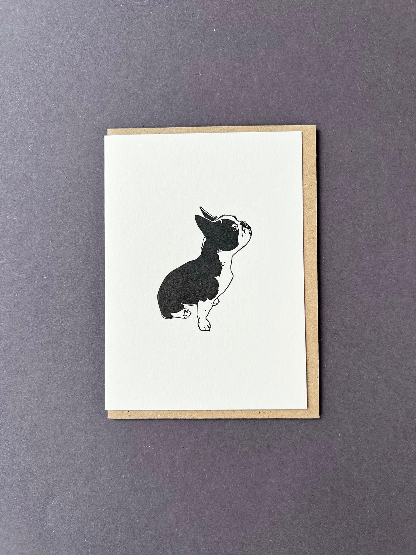 Mini Cards from Penguin Ink