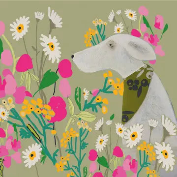 Cards from Print Circus
