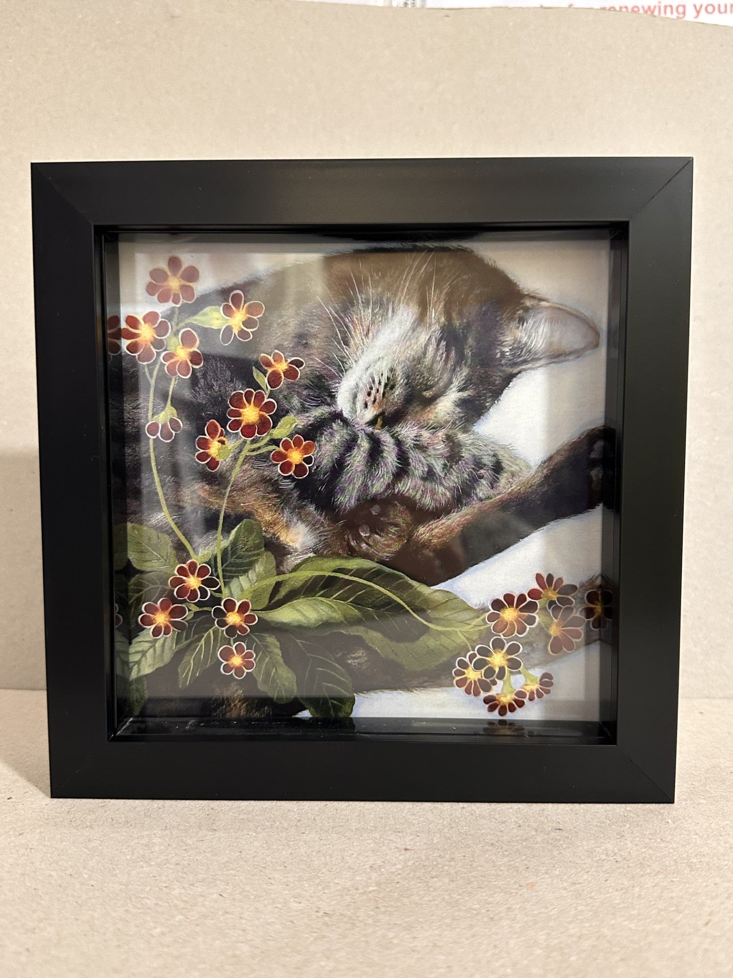Cards from Dry Red Press