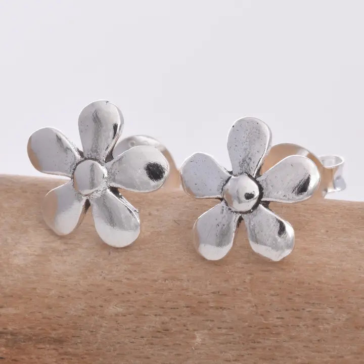 Silver Stud Earrings