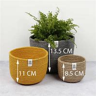 Tall Jute Bowl Set & Baskets